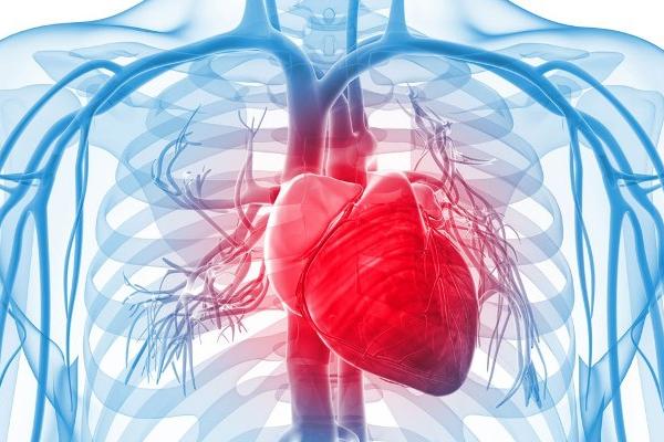 Diagnóstico Cardiovascular